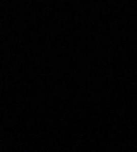 Meet your Posher, Luvstrr